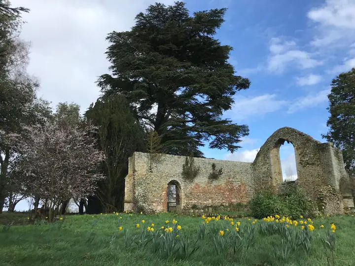woodland and ruins nearby the old rectory